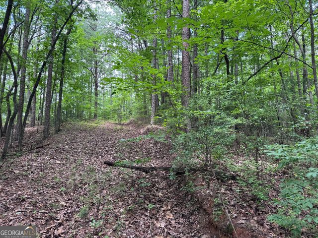 0 Owltown Road, Ellijay, GA 30536