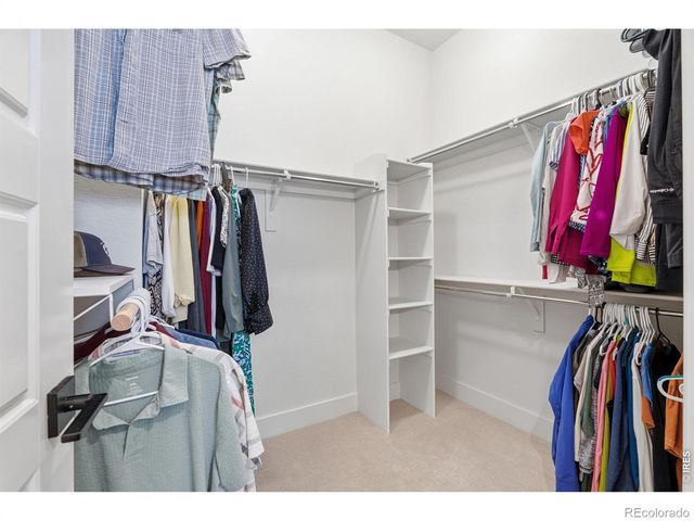 2033 Squib Lane, Fort Collins, CO 80524