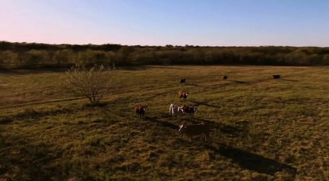 1179 E FM 813, Palmer, TX 75152