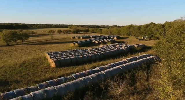 1179 E FM 813, Palmer, TX 75152