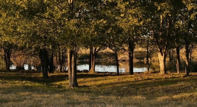 1179 E FM 813, Palmer, TX 75152