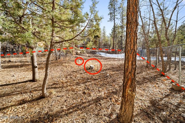 580 S Walnut Creek Loop 23, Pinetop-lakeside, AZ 85929