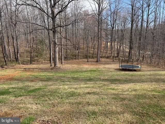 11099 EGGBORNSVILLE RD, Rixeyville, VA 22737