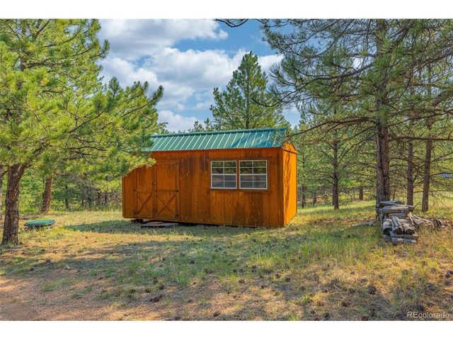 322 Phoebus Dr, Florissant, CO 80816