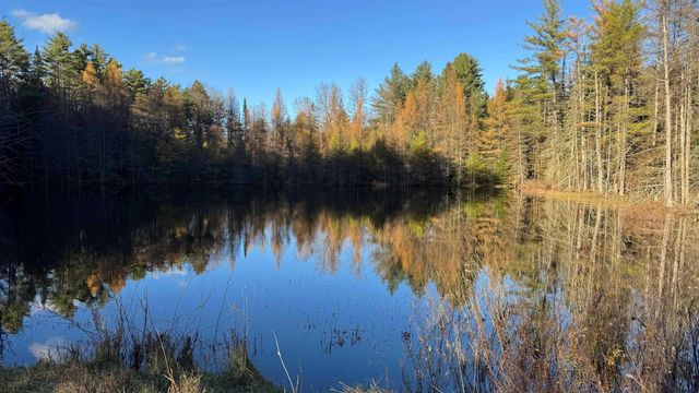 50 Cheney 4 Corner Road, Newbury, VT 05051