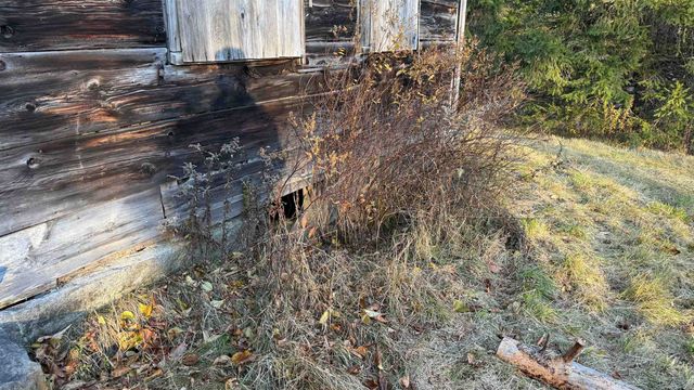 50 Cheney 4 Corner Road, Newbury, VT 05051