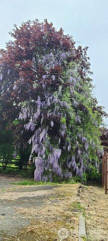 310 W Pine Street, Elma, WA 98541