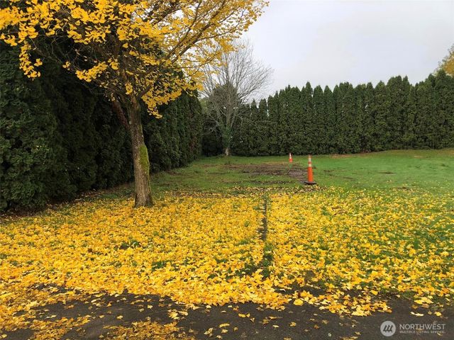 310 W Pine Street, Elma, WA 98541