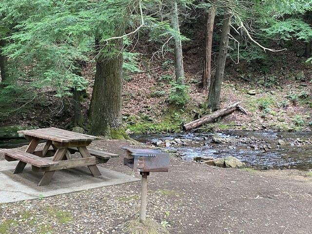 60 Clubhouse Court, Ellijay, GA 30536