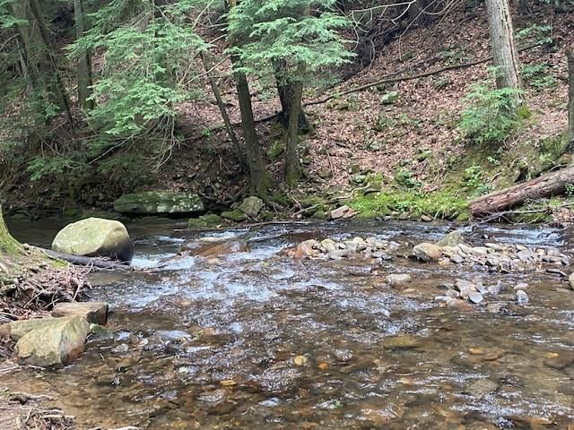 60 Clubhouse Court, Ellijay, GA 30536