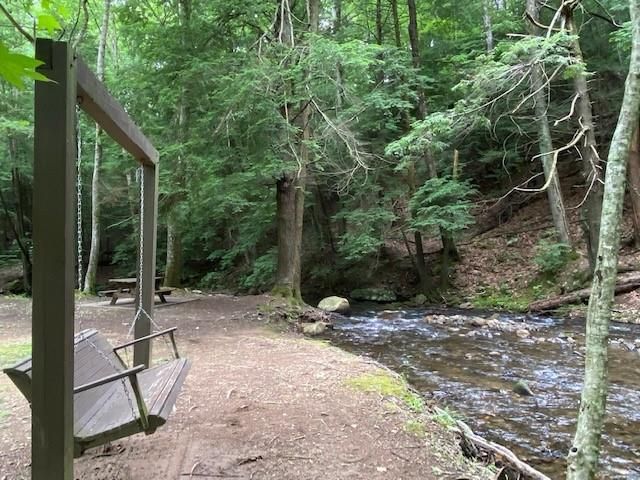 60 Clubhouse Court, Ellijay, GA 30536