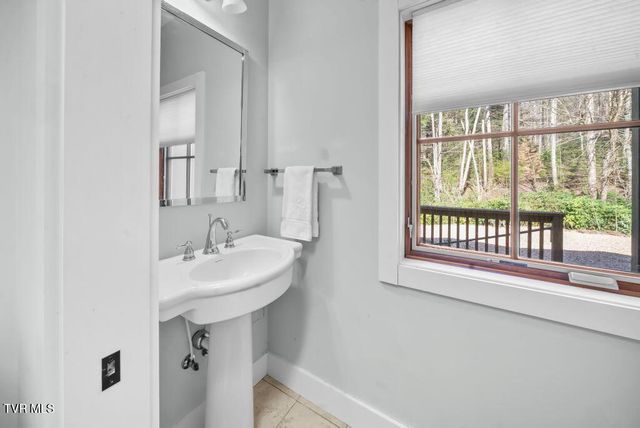 342 Ripshin Lake Road, Roan Mountain, TN 37687