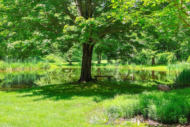 6697 Warren Woods Road, Three Oaks, MI 49128