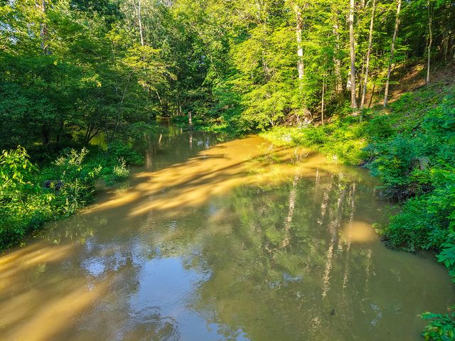 6697 Warren Woods Road, Three Oaks, MI 49128