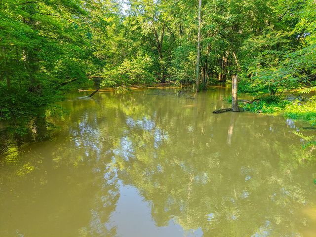 6697 Warren Woods Road, Three Oaks, MI 49128