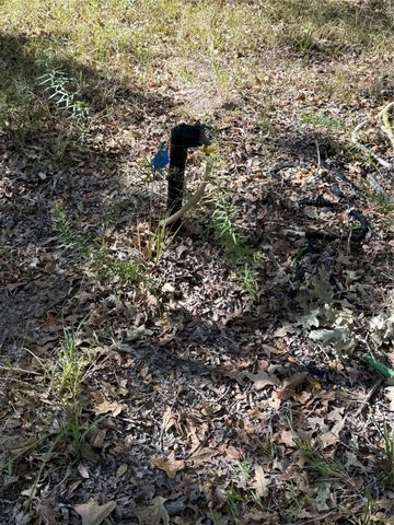 15801 Maple Lane, Malakoff, TX 75148