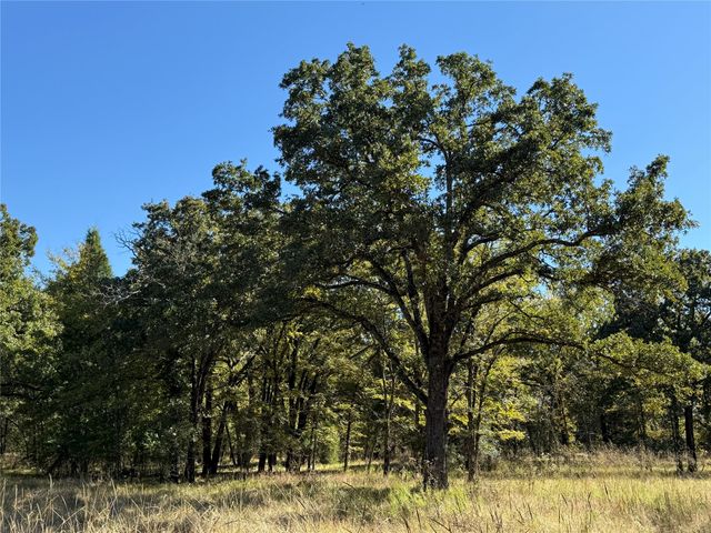 15801 Maple Lane, Malakoff, TX 75148