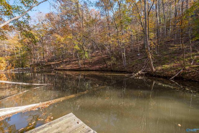 1595 Mohawk Cliff Road, Ohatchee, AL 36271