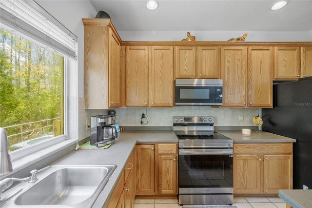 3024 GIRVAN DRIVE, Land O Lakes, FL 34638