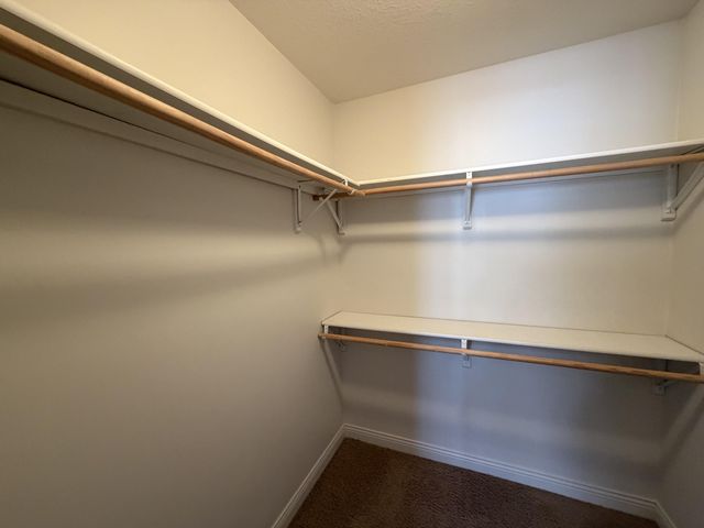2007 CECIL ST, Columbia, MO 65201