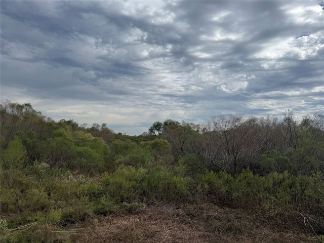 TBD Highway 36 ByPass, Rosenberg, TX 77471