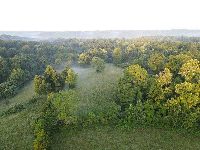 7 Shiloh Canaan Road, Palmyra, TN 37142