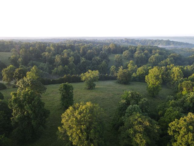 7 Shiloh Canaan Road, Palmyra, TN 37142