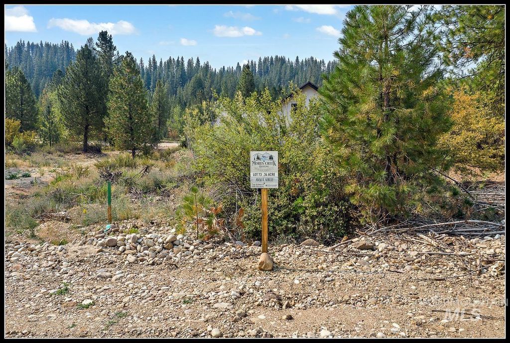 Lot 73 Lainey Lane, Idaho City, ID 83631 photo 2