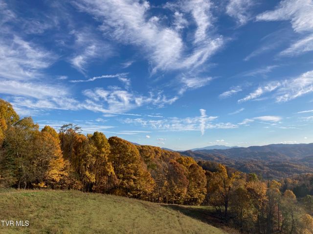 900 Greer Road, Trade, TN 37691