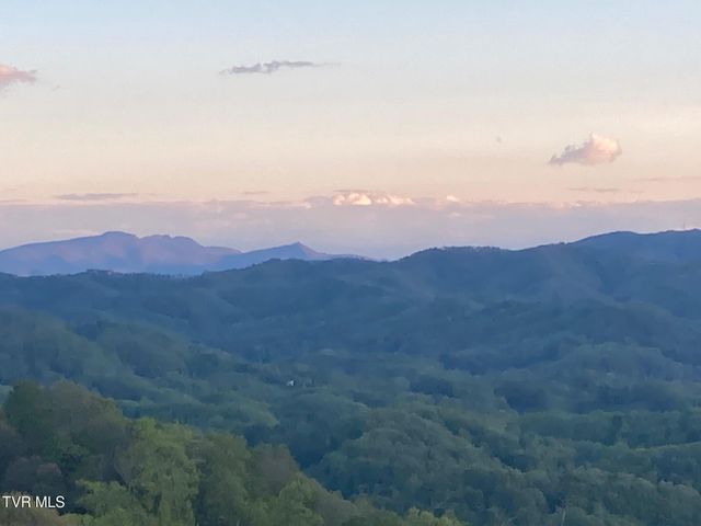 900 Greer Road, Trade, TN 37691