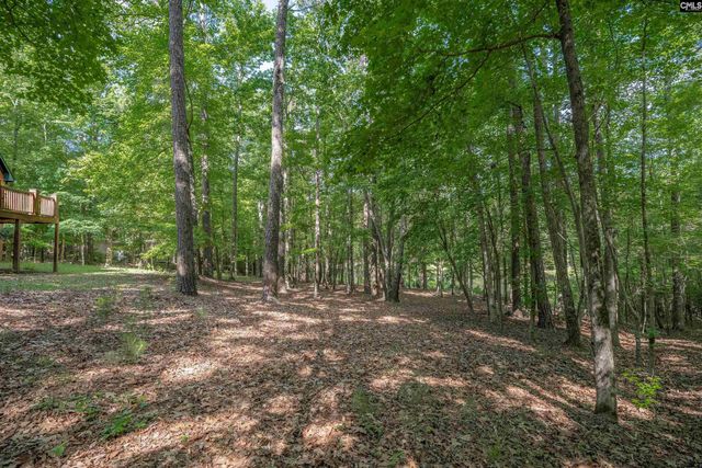 217 Ashley Oaks Drive, Blythewood, SC 29016