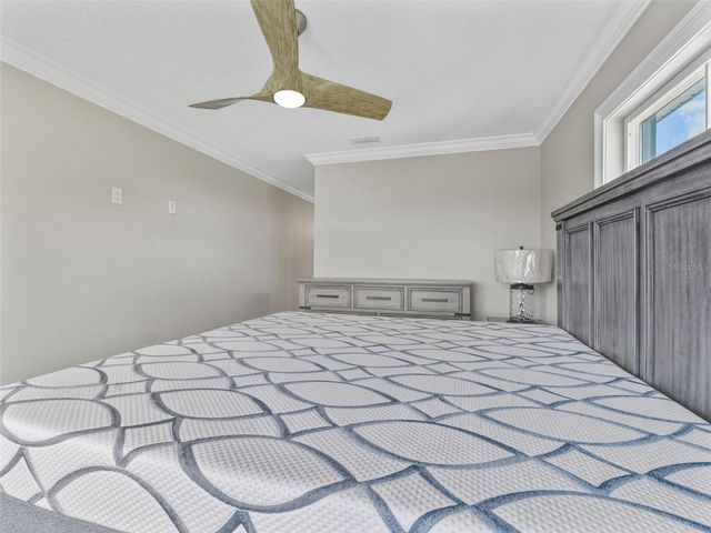 8717 DRIFTWOOD DRIVE, Tampa, FL 33615