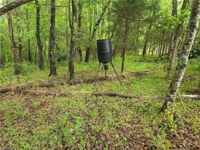 2729 Asbury Road, Mount Airy, NC 27030