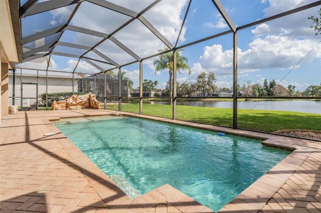 12408 EAGLES ENTRY DRIVE, Odessa, FL 33556