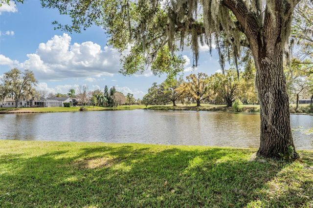 12408 EAGLES ENTRY DRIVE, Odessa, FL 33556