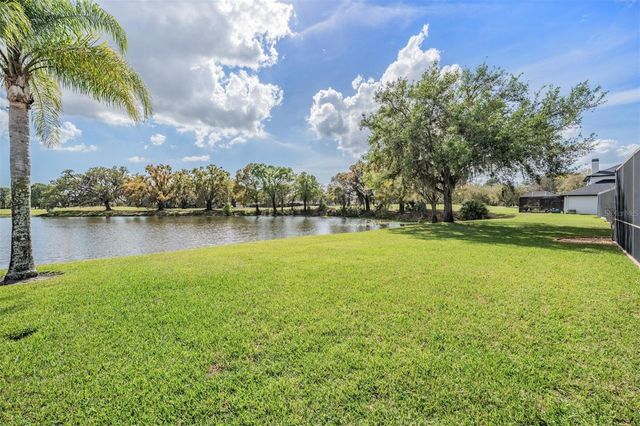 12408 EAGLES ENTRY DRIVE, Odessa, FL 33556