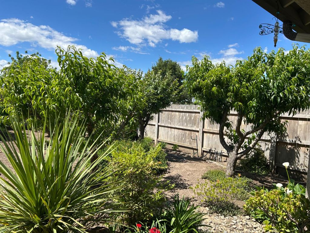 Image 35 of property listing at 2877 23rd Court, Kingsburg, CA 93631