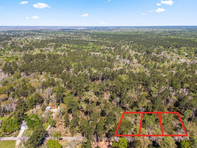 0 Cherry Creek Road, Dayton, TX 77535