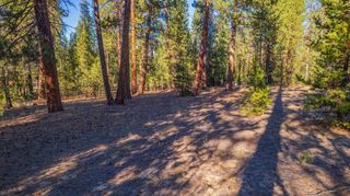 53582 Brookie Way, La Pine, OR 97739