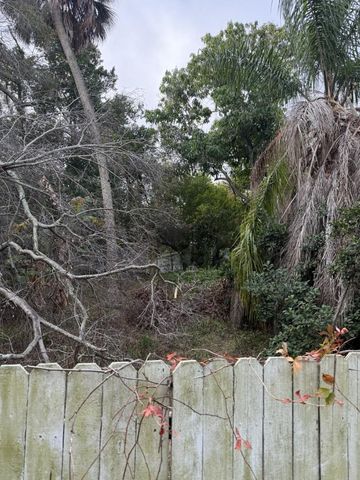 1007 JONES STREET, Clearwater, FL 33755