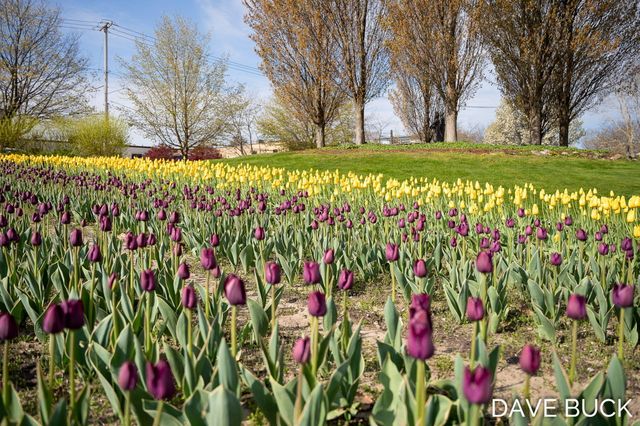283 W 28th Street, Holland, MI 49423