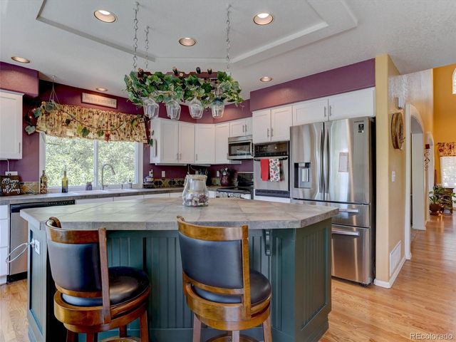 3616 Buffalo Grass Lane, Castle Rock, CO 80109