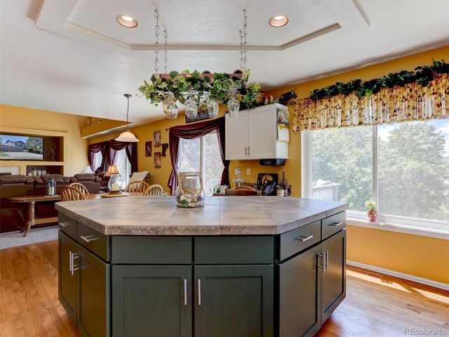 3616 Buffalo Grass Lane, Castle Rock, CO 80109