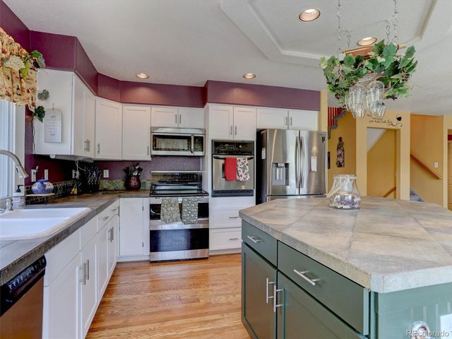 3616 Buffalo Grass Lane, Castle Rock, CO 80109