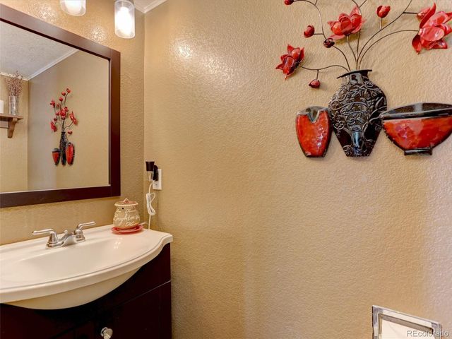 3616 Buffalo Grass Lane, Castle Rock, CO 80109