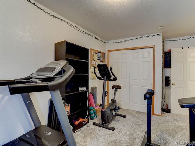 3616 Buffalo Grass Lane, Castle Rock, CO 80109