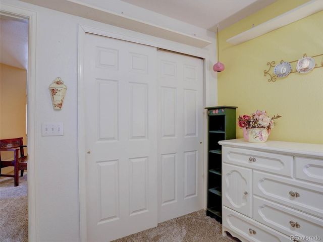 3616 Buffalo Grass Lane, Castle Rock, CO 80109