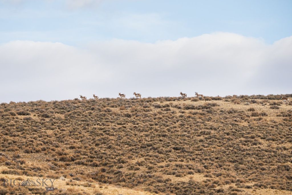 TBD Buster Brown Road, Dillon, MT 59725 photo 3