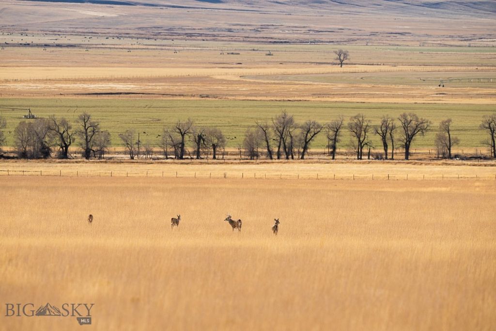 TBD Buster Brown Road, Dillon, MT 59725 photo 4