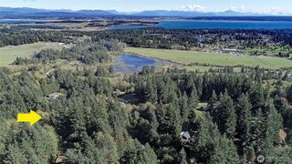 0 xx NHN Wayne's Ridge Circle, Camano Island, WA 98282